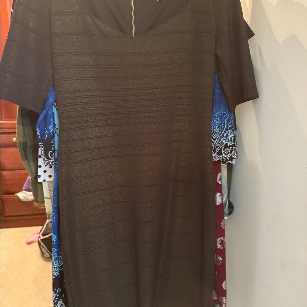 Bisou Bisou Black Dress with Gold Zipper